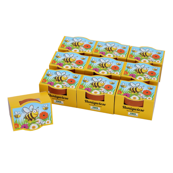 10 Mini-Pflanzset Honigwiese
