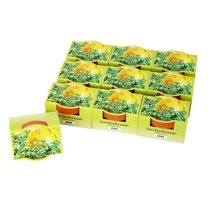 10er Set Mini-Pflanzset "Kresse"