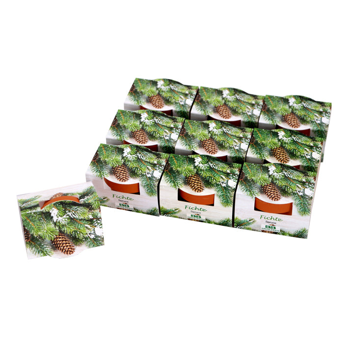 10er Set Mini-Pflanzset "Fichte"