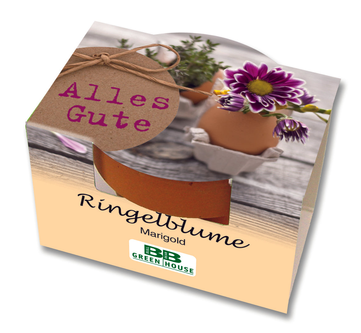 Mini-Pflanzset "Alles Gute"