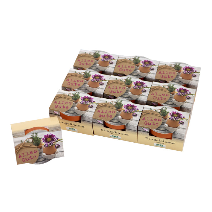 10 Mini-Pflanzset "Alles Gute"