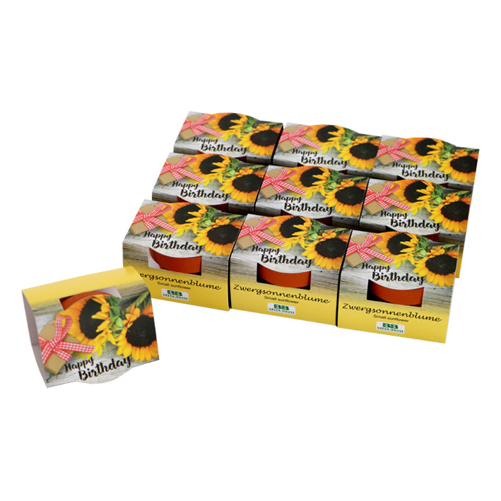 10 Mini-Pflanzset "Happy Birthday"