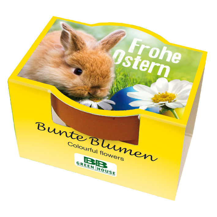 Mini-Pflanzset "Frohe Ostern"