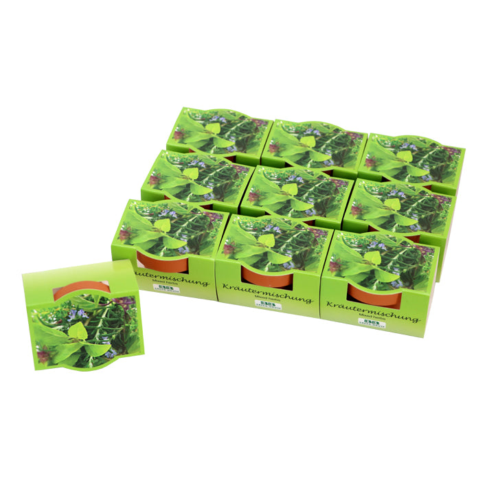 10er Mini-Pflanzset "Kräutermix"