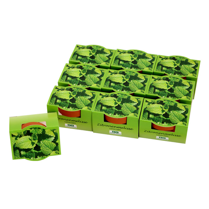 10er Set Minipflanzset "Zitronenmelisse"