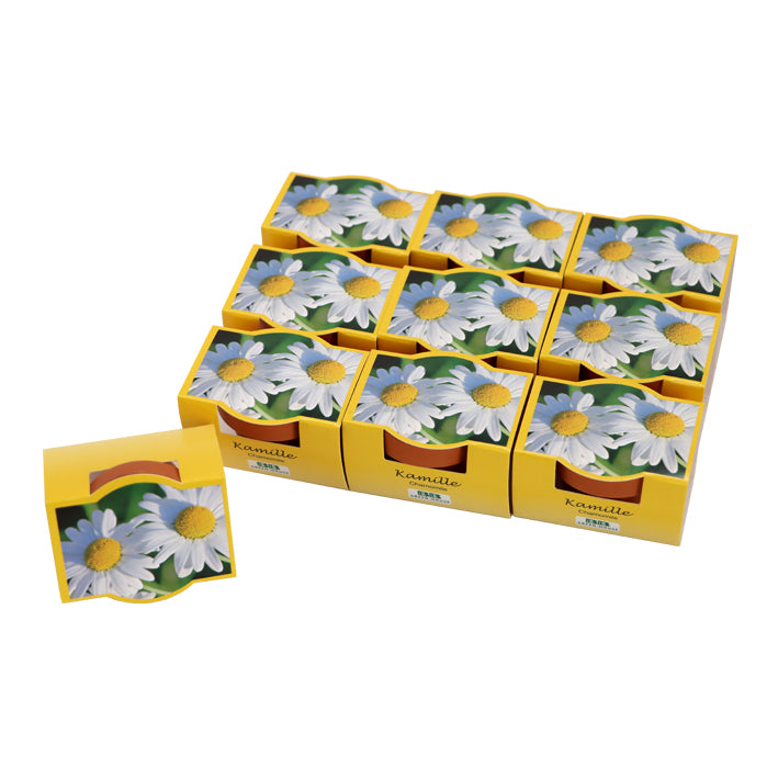 10er Mini-Pflanzset "Kamille"