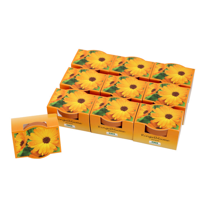 10er Set Mini-Pflanzset "Ringelblume"