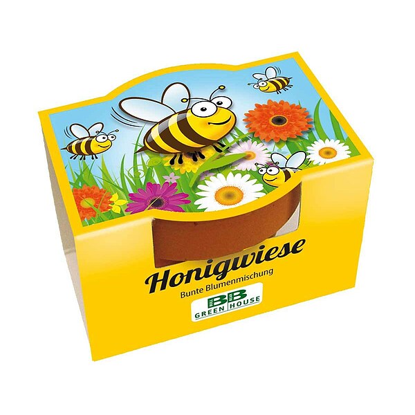 MINI-PFLANZSET Honigwiese