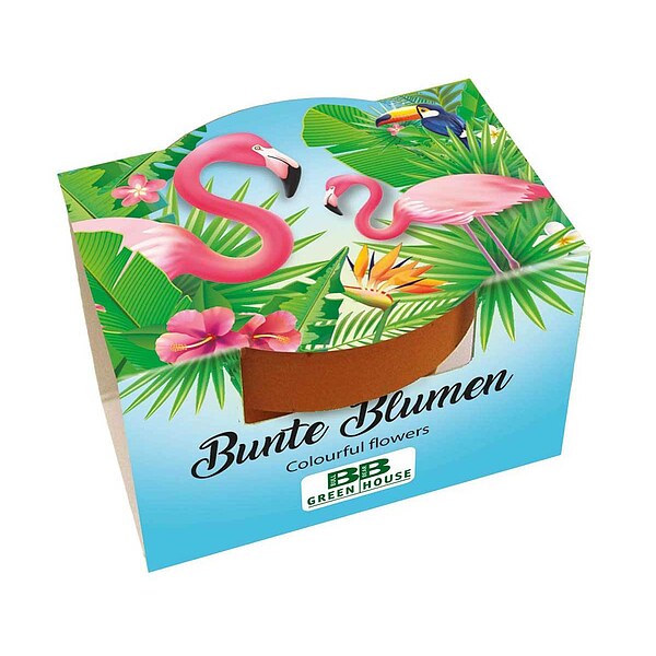Mini-Pflanzset Flamingo