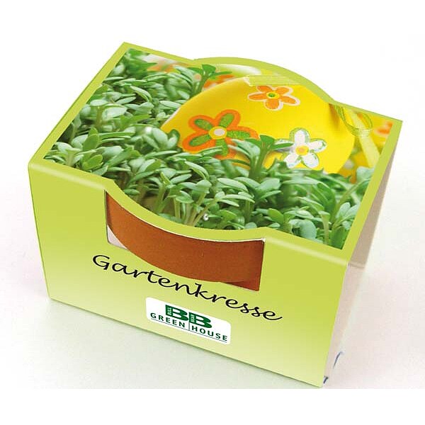 Mini-Pflanzset "Kresse"