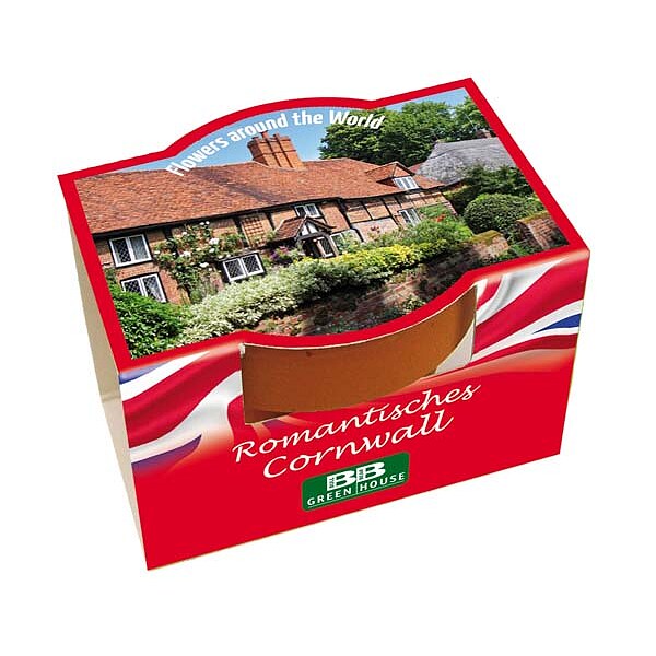 Mini-Pflanzset "Romantisches Cornwall"