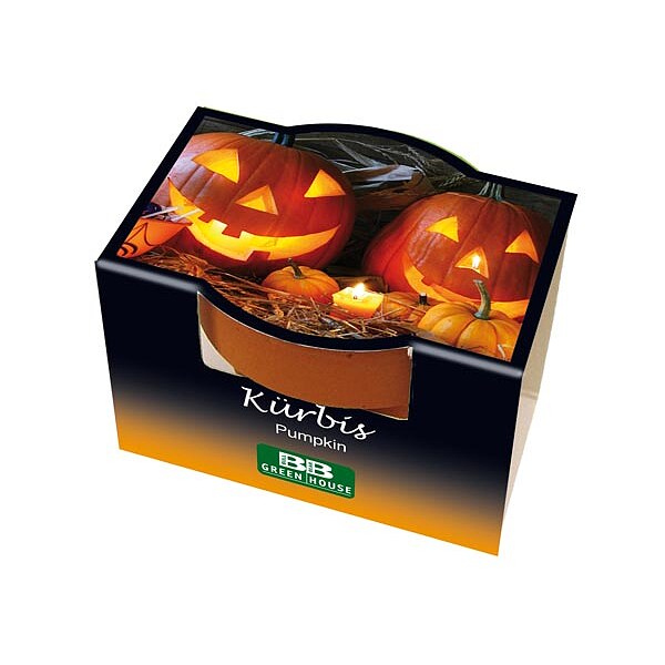 Mini-Pflanzset "Halloween-Kürbis"