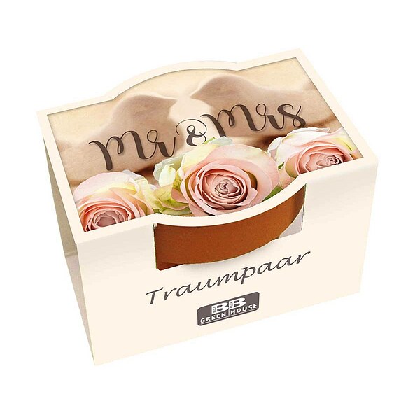 Mini-Pflanzset "Mr. & Mrs."