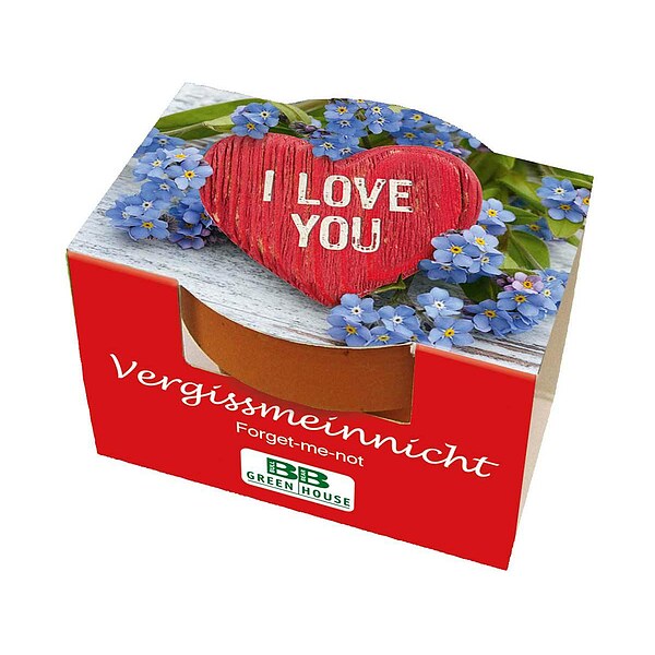 Mini-Pflanzset "I love you"