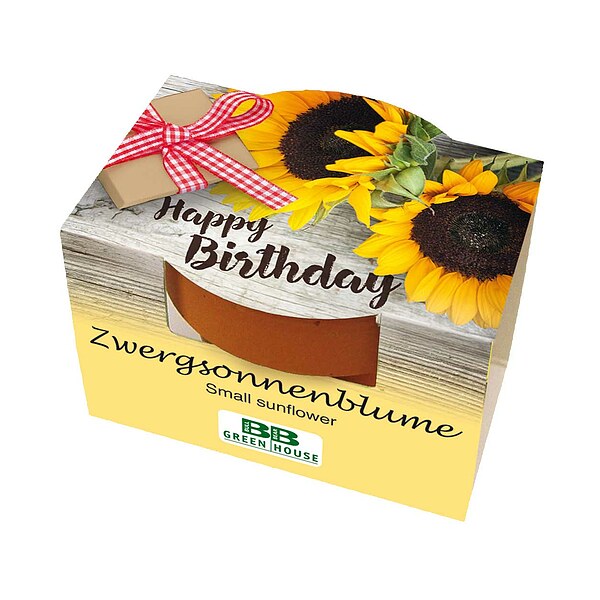 Mini-Pflanzset "Happy Birthday"