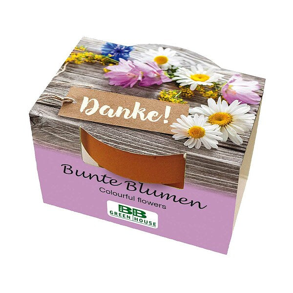 Mini-Pflanzset "Danke"