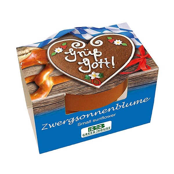 Mini-Pflanzset "Grüß Gott"