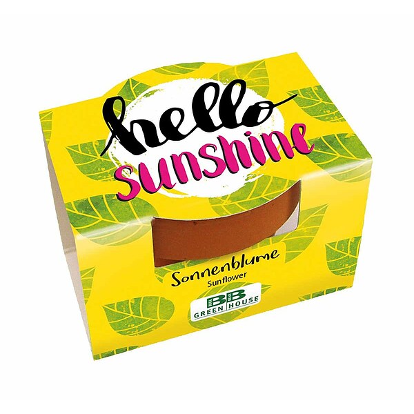 Mini-Pflanzset Hello Sunshine
