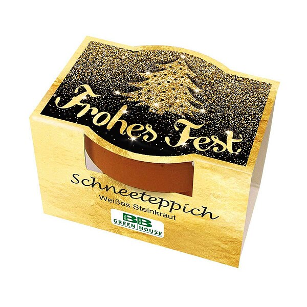 Mini-Pflanzset Frohes Fest