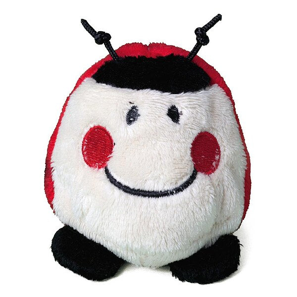 Schmoozie Marienkäfer