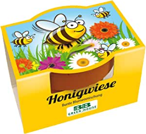 3er Mini-Pflanzset Honigwiese