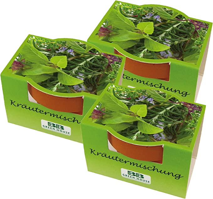 3er Mini-Pflanzset "Kräutermix"