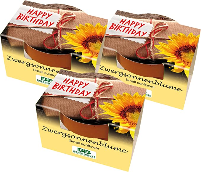 3er Mini-Pflanzset "Happy Birthday"