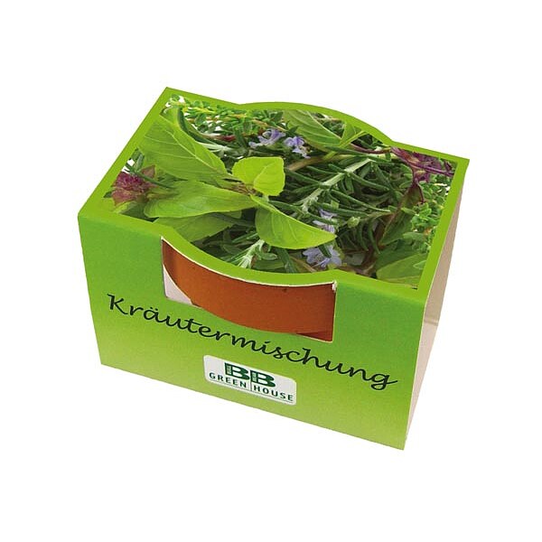 Mini-Pflanzset "Kräutermix"