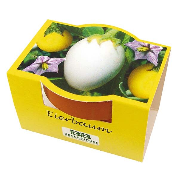 Mini-Pflanzset "Eierbaum"