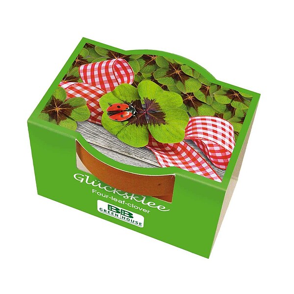 Glücksklee-Anzuchtset In Süßer Dose – „Viel Glück“-Geschenk, Biologisch, Deutsche Samen