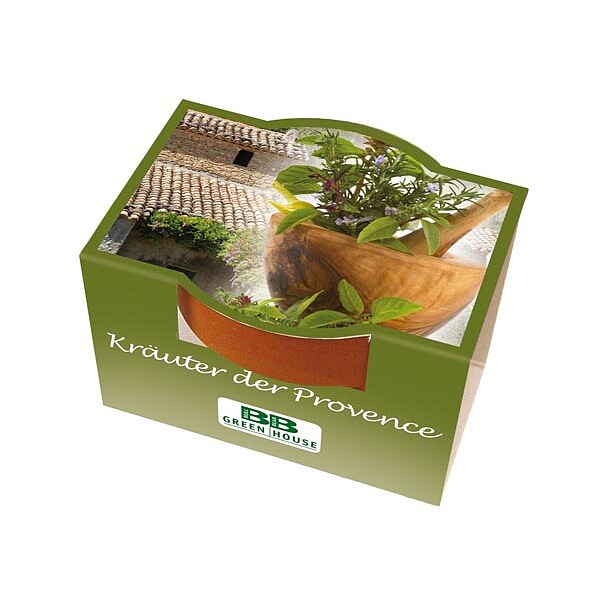 Mini-Pflanzset "Kräuter der Provence"