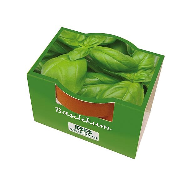 Mini-Pflanzset "Basilikum"