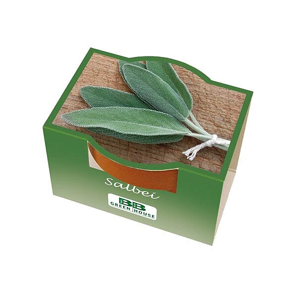 Mini-Pflanzset "Salbei"