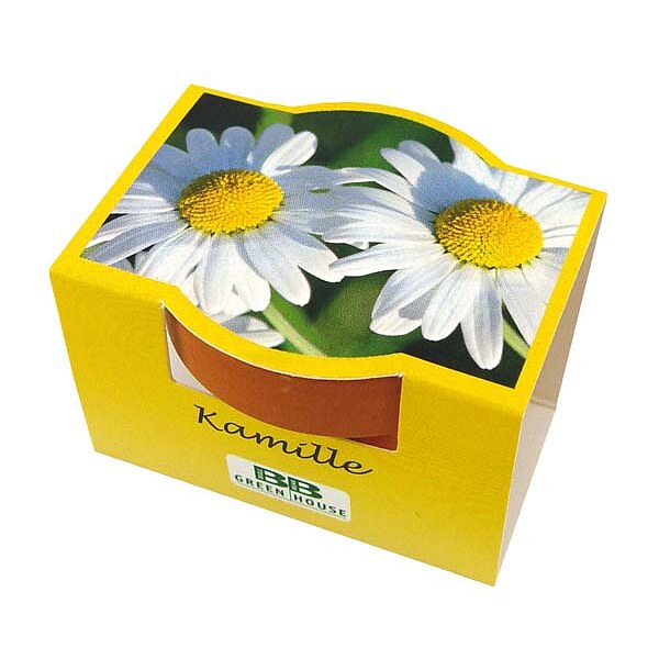 Mini-Pflanzset "Kamille"