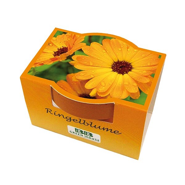 Mini-Pflanzset "Ringelblume"