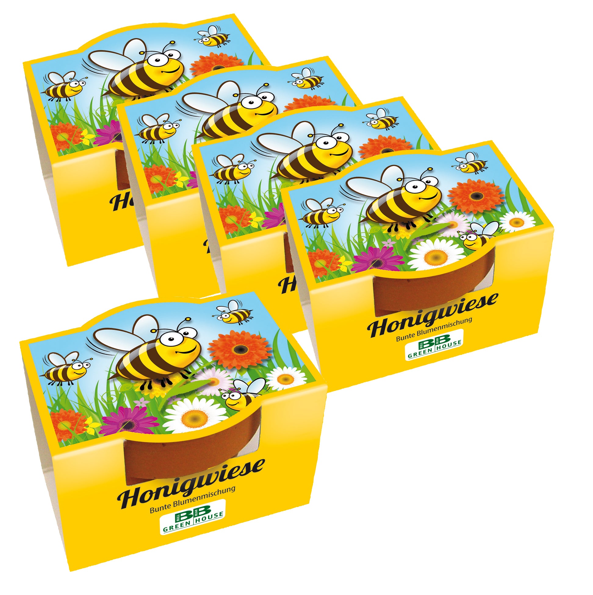 5er Set Mini-Pflanzset Honigwiese
