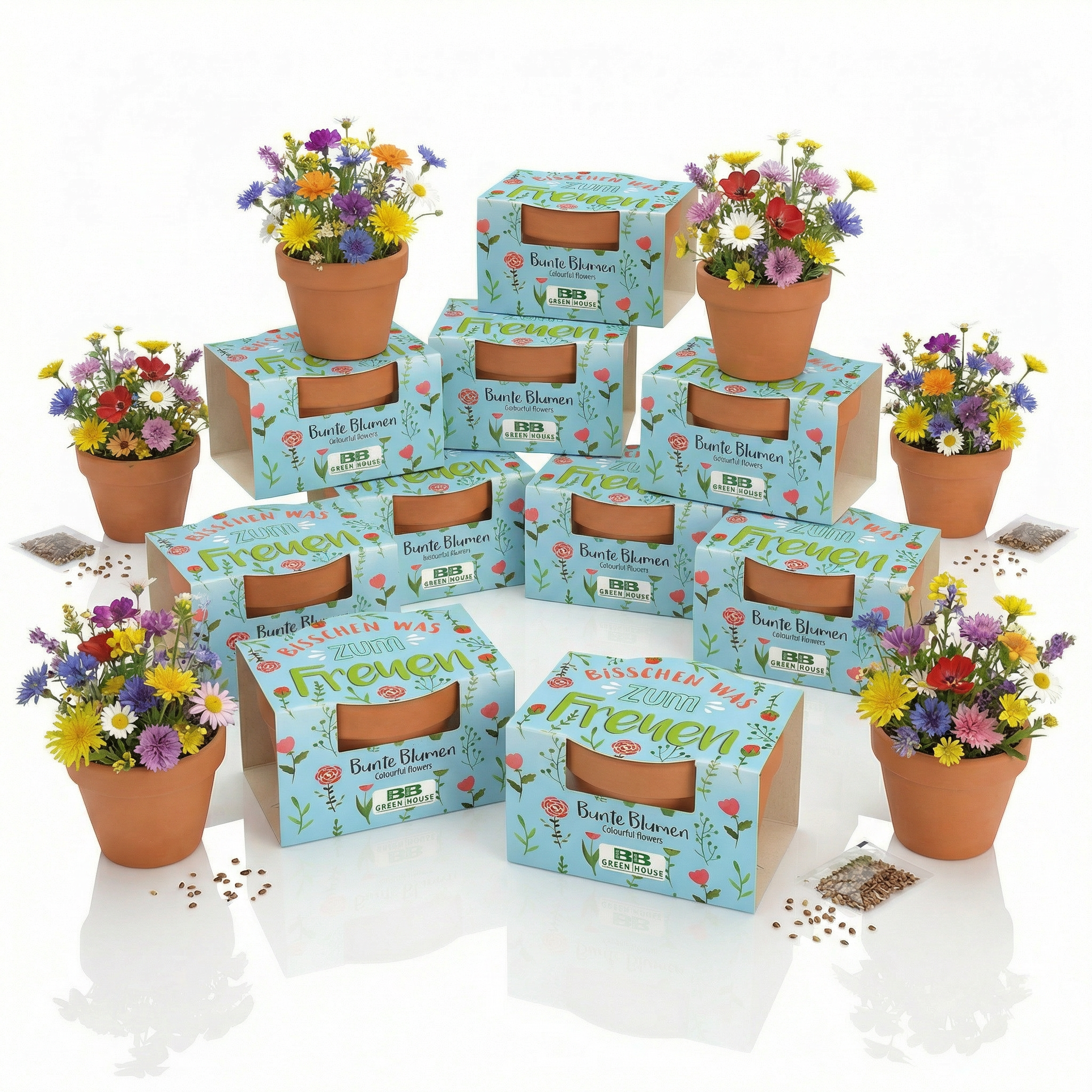 Mini-Pflanzset "Bisschen was zum Freuen"