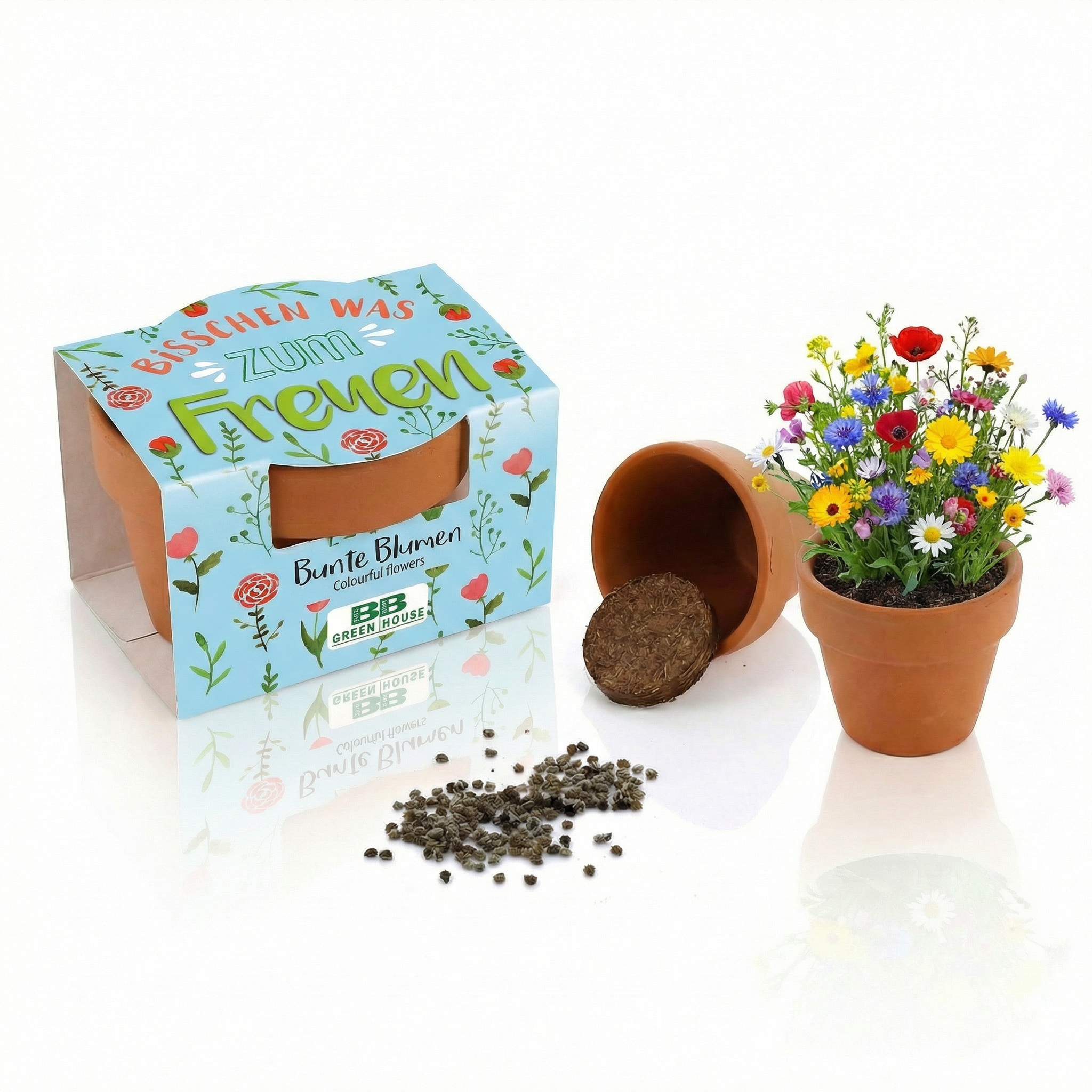 Mini-Pflanzset "Bisschen was zum Freuen"