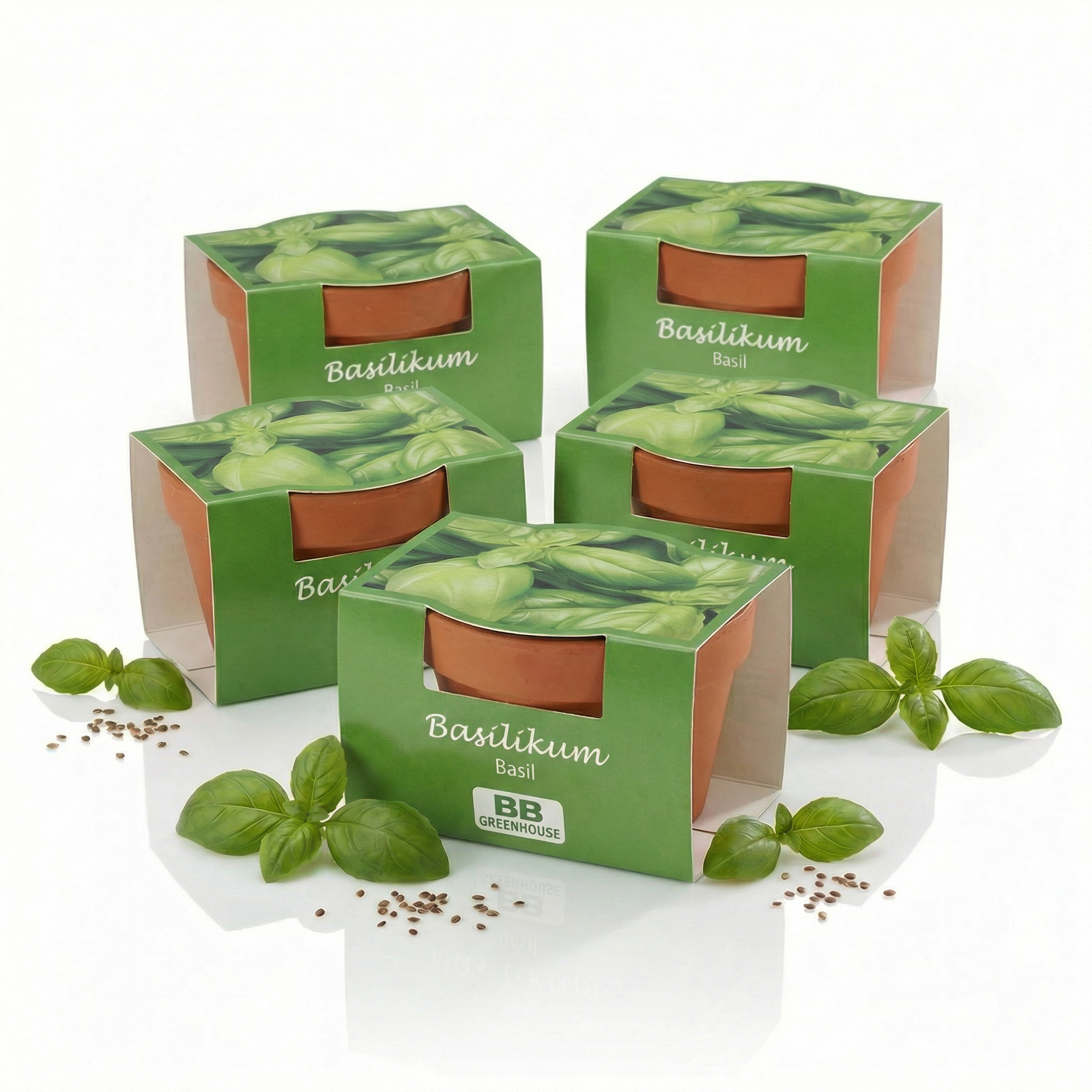 Mini-Pflanzensets "Basilikum"