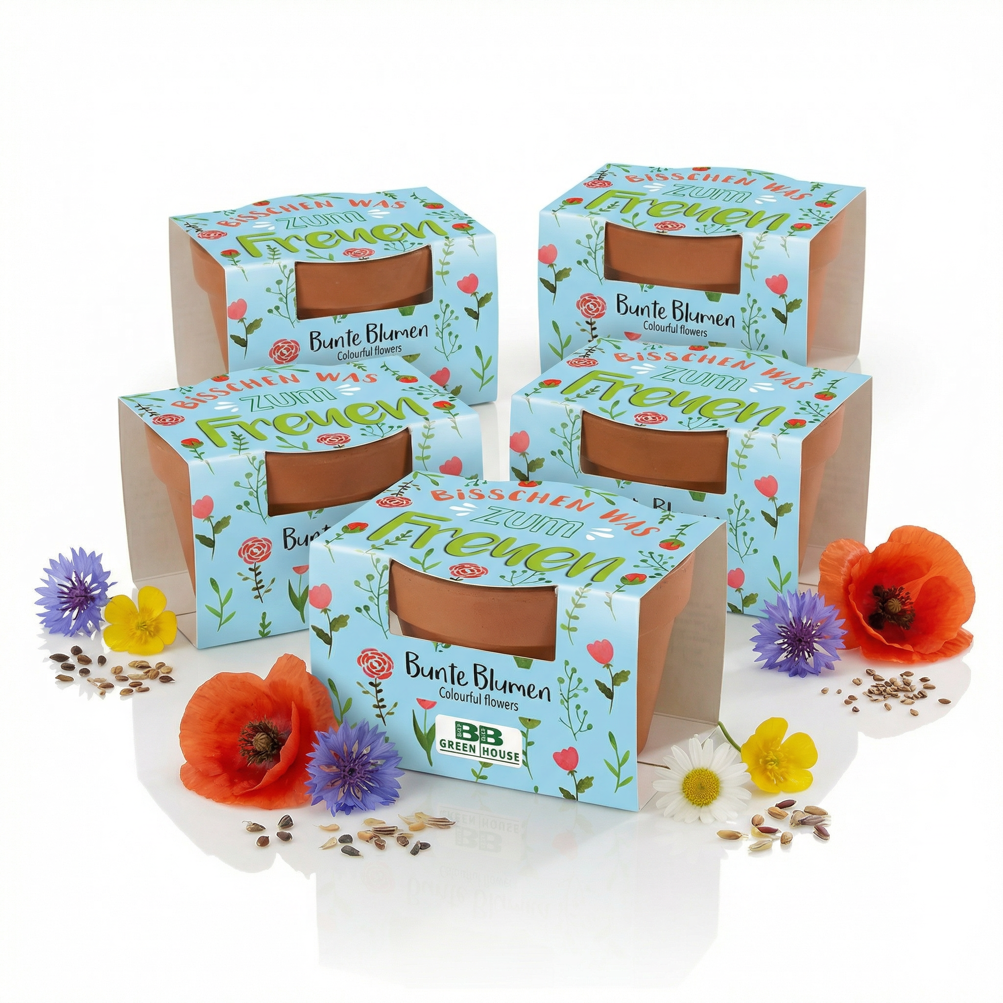 Mini-Pflanzset "Bisschen was zum Freuen"