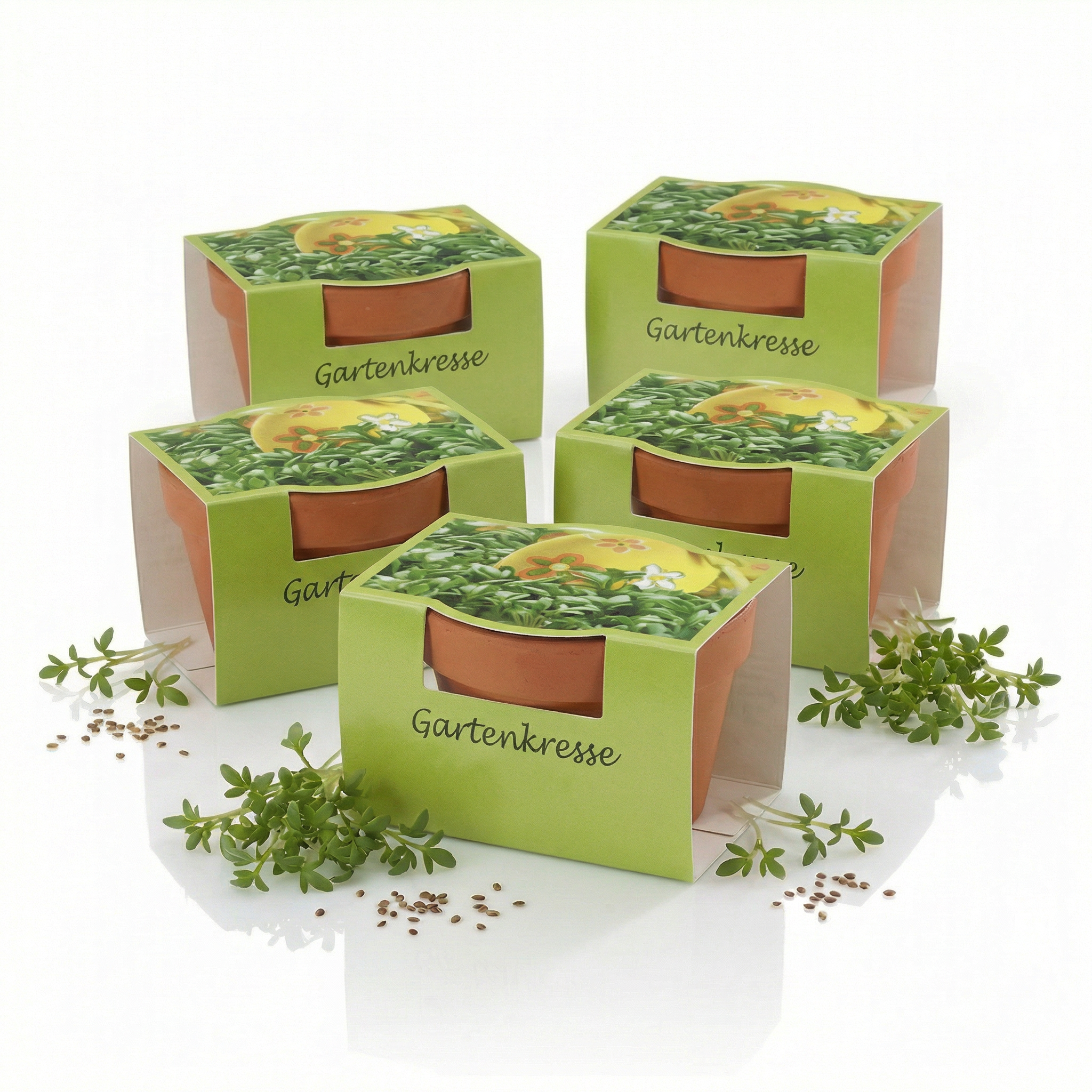 Mini-Pflanzensets "Kräutermix"