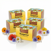 Mini-Pflanzensets Honigwiese