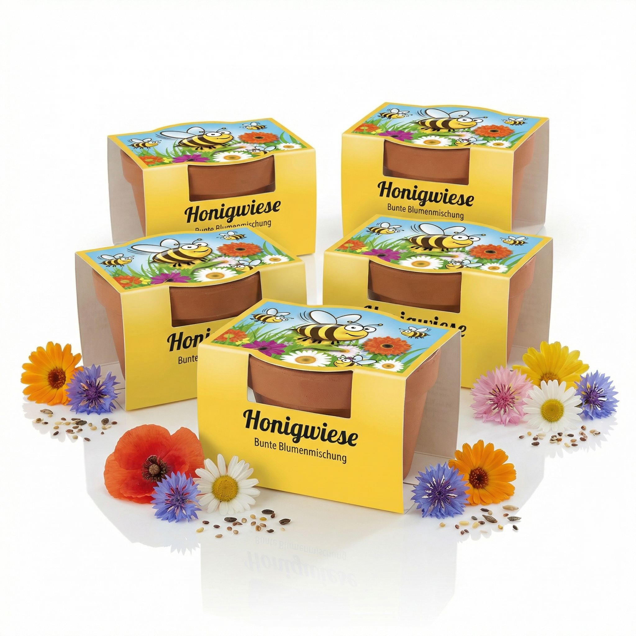 Mini-Pflanzensets Honigwiese