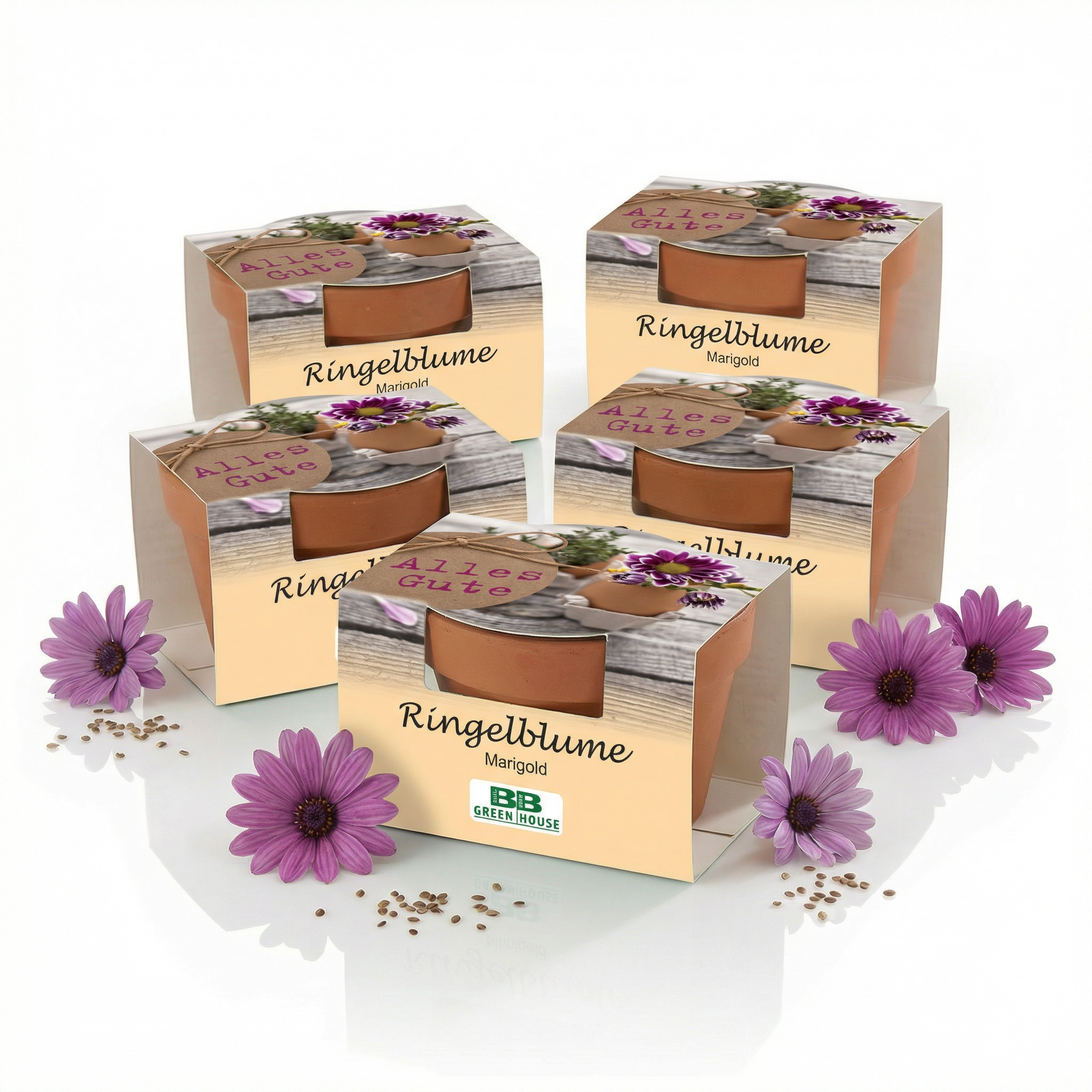 Mini-Pflanzsets "Alles Gute"