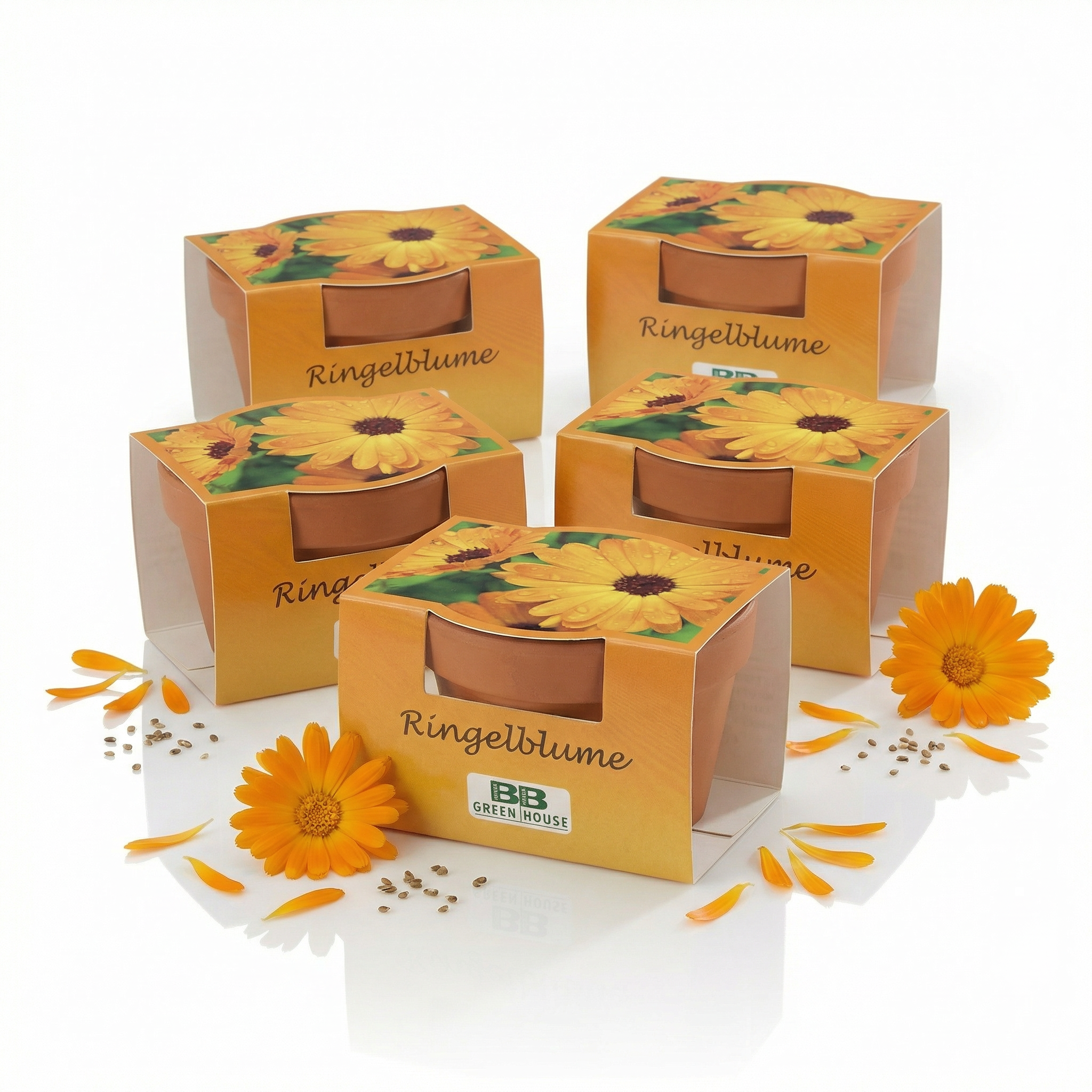 Mini-Pflanzensets "Ringelblumen"