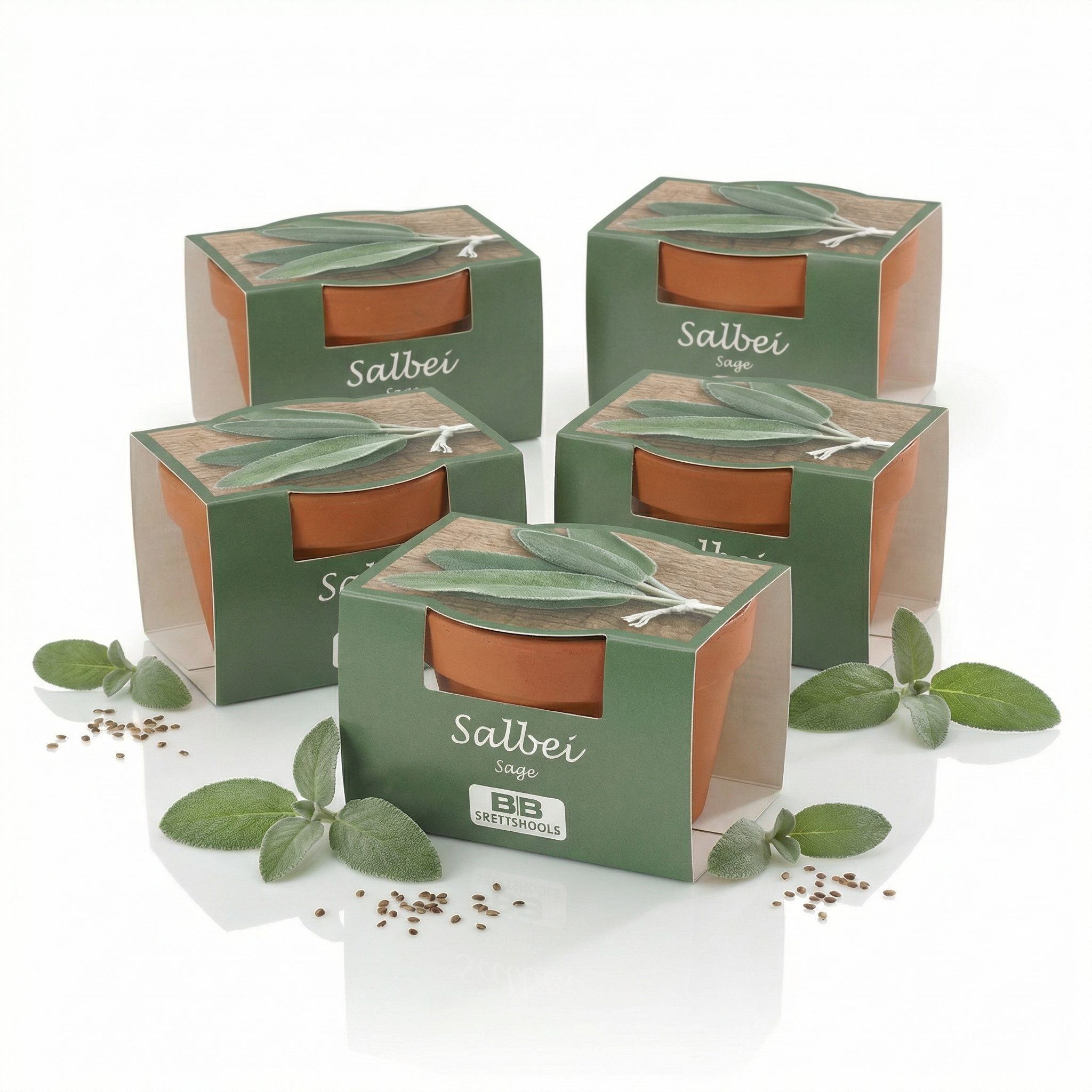 Mini-Pflanzensets "Salbei"