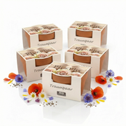 5er Set von Minipflanzenset mit Aufschrift Traumpaar