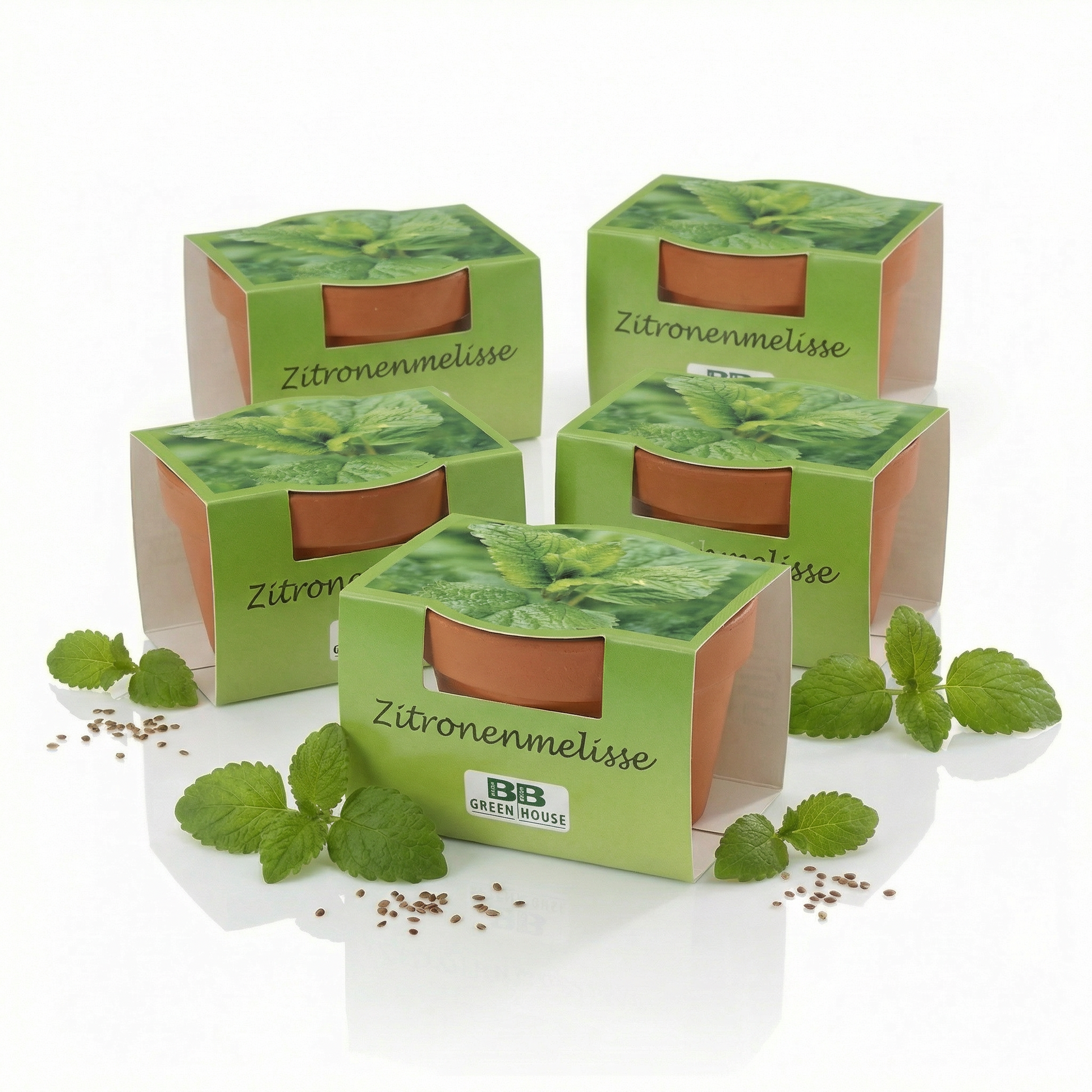 5er Set Zitronenmelisse