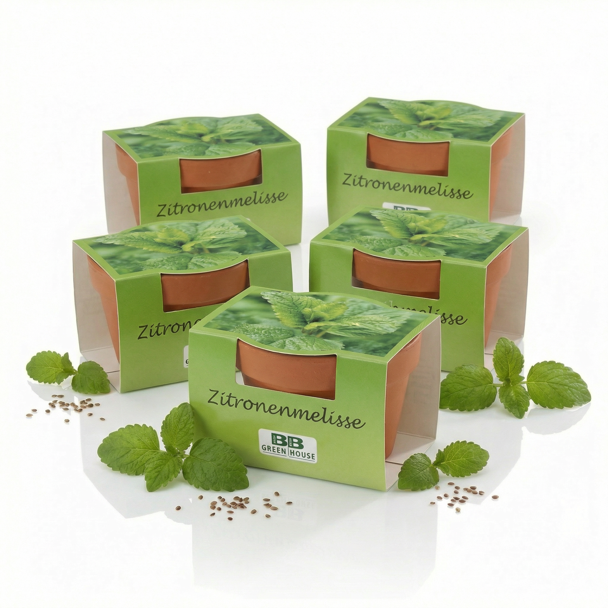 5er Set Zitronenmelisse