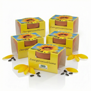 Mini-Pflanzsets "Zwergsonnenblume"